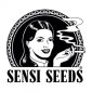 Sensi Seeds