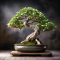 GROWING CANNABIS BONSAI: HOW TO DO IT?