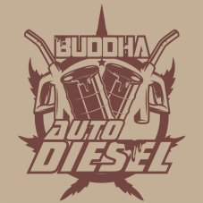 Buddha Auto Diesel - Premium Autoflower Samen, 3er Pack von Buddha Seeds