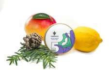 Auto White Haze CBD - nasiona automatycznie kwitnące 5 szt Cannapio