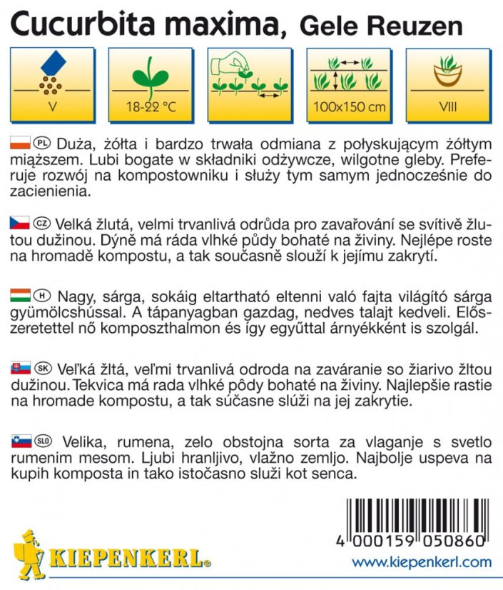 Dýně Gele Reuzen – semena dýně