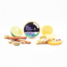 Girl Scout Cookies - feminisierte Samen 10 Stück Cannapio