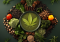 Raw Hemp Leaves: A Miracle Among Superfoods, or Just an Unnecessary Trend?