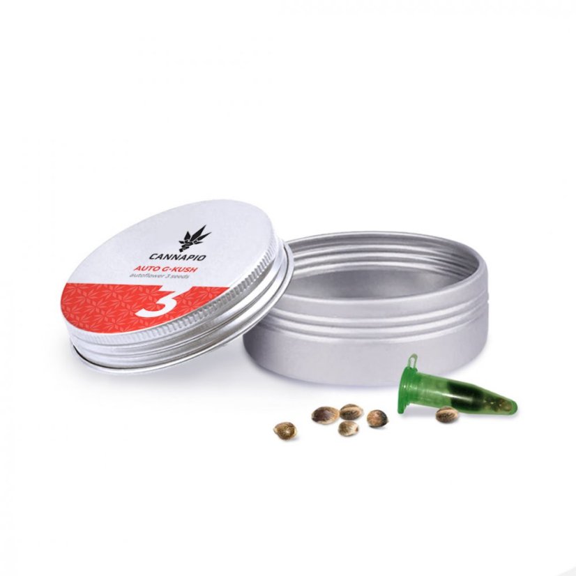 Auto G-Kush - 3pcs Cannapio autoflowering seeds