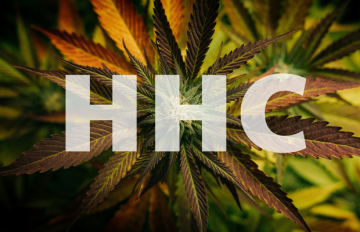 Was ist HHC? Ein Leitfaden zu Wirkungen und Anwendungen von Hexahydrocannabinol