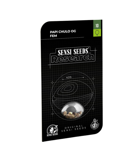Papi Chulo OG - feminizované semená konope 10 ks, Sensi Seeds