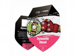 Dynamite Diesel - odmiana feminizowana 3szt Royal Queen Seeds x Mike Tyson