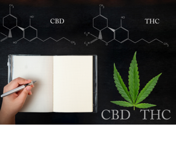 Therapeutische Cannabinoide 3: THCA