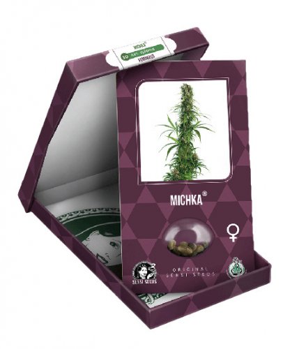 Michka - feminized cannabis seeds 10 pcs, Sensi Seeds