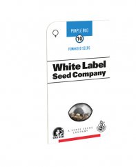 Purple Bud - feminized cannabis seeds 3 pcs, Sensi Seeds