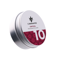 Critical - feminizovaná semena konopí, 10 ks, Cannapio