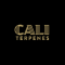 What makes the terpenes and e-liquids from Cali Terpenes exceptional?