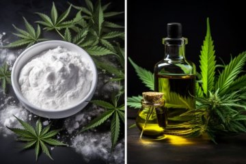 FULL SPECTRUM CBD OIL UND CBD ISOLATE: DIE WICHTIGSTEN UNTERSCHIEDE, DIE SIE KENNEN SOLLTEN