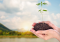 Garden Therapy: Health and Ecological Benefits of Cannabis Cultivation