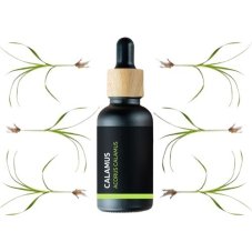 BIO Calamus - 100% přírodní esenciální olej (10ml) - Pěstík