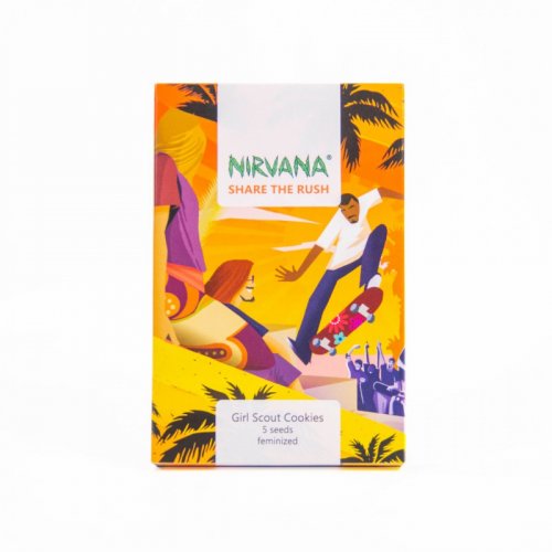 Girl Scout Cookies - nasiona feminizowane 5szt Nirvana Seeds