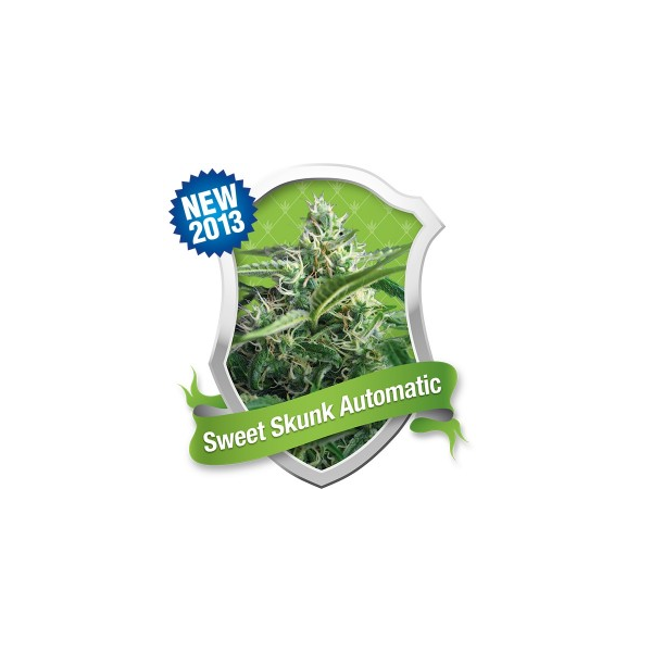 Sweet Skunk Automatic - feminizovaná a samonakvétací semínka 5ks Royal Queen seeds