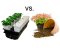 Hydroponics vs. Substrate