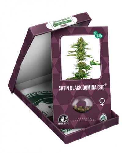 Satin Black Domina CBD - feminizovaná semena 10 ks, Sensi Seeds