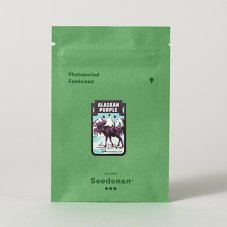 Alaskan Purple - feminizované semienka konope 10 ks, Seedsman