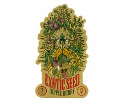 HippieBerry - feminized marijuana seeds, 3pcs Exotic Seed