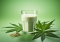 From Hemp Seeds to Delicious Milk: How to Make Perfect Hemp Milk at Home!