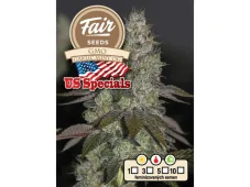 Fair Seeds GMO Garlic Mint OG feminizované semená