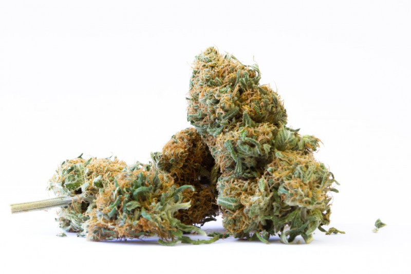 Pure Mountains CBD - Indoor CBD kvety Cannapio 20g