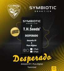 T.H. Seeds Desperado feminizované semená