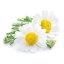 BIO Chamomile - 100% Natural Essential Oil (10ml) - Pestik