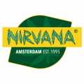 Nirvana seeds