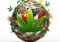 Largest Cannabis Producers: Who Controls the Global Cannabis Market?