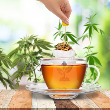 Technical and Therapeutic Hemp Tea on Prescription