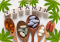Strengthen Your Health: Top 5 Vitamins Cannabis Users Need!