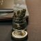 Palliative Care and Oncology - Cannabis as Supportive Treatment