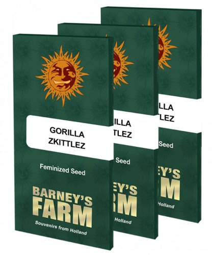 Gorilla Zkittlez - feminisierte Samen 5 Stück, Barney's Farm