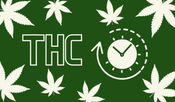 Wie lange bleibt THC