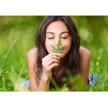Terpeni Cannabis: Guida Completa agli Aromi e Proprietà