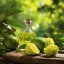BIO Bergamot - 100% přírodní esenciální olej 10ml