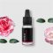 Camellia - 100% natural essential oil 10 ml
