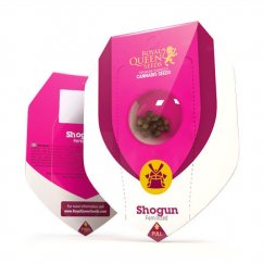 Shogun - feminisierte Samen 10 Stück Royal Queen Seeds