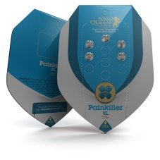 Painkiller XL - Nasiona feminizowane 5 sztuk Royal Queen Seeds