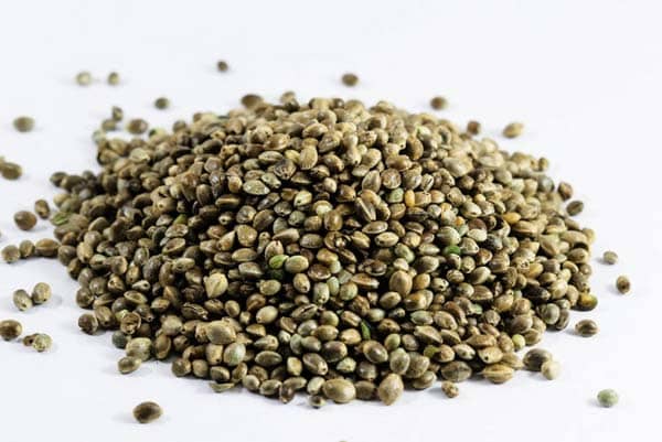 Hanfsamen, ungeschält BIO, 1 kg, Grüne Erde