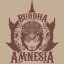 Buddha Amnesia, 3 sztuki, Buddha Seeds