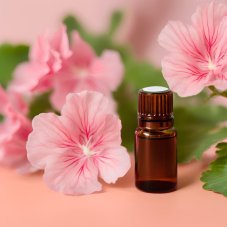 BIO Pelargonia - 100% naturalny olejek eteryczny (10 ml)