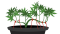 Low-stress training on hemp will guarantee you higher yields