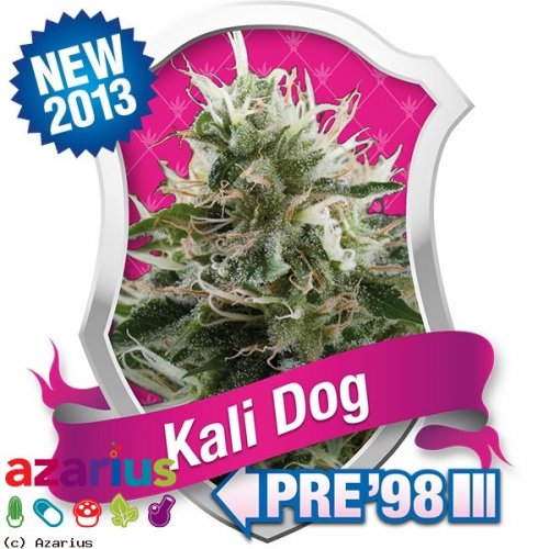 Kali Dog - feminizovaná semínka 10 ks Royal Queen Seeds