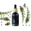 BIO Borievka obyčajná - 100% prírodný esenciálny olej (10ml) - Pestovník