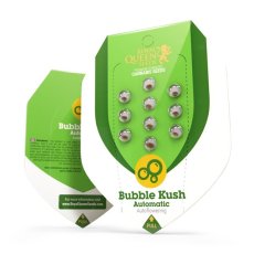 Bubble Kush - samokvitnúce semená 10 ks Royal Queen Seeds