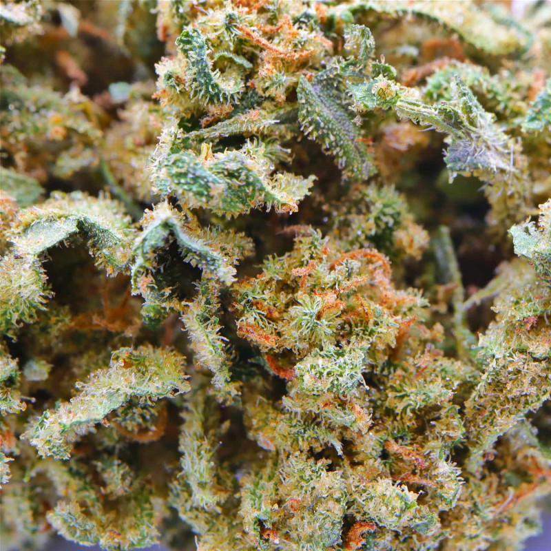 Juicy Fruit - Indoor CBD Flowers Cannapio, 2g